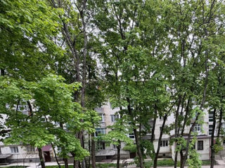 2-комн. кв., 51 м², 5/5 эт.
