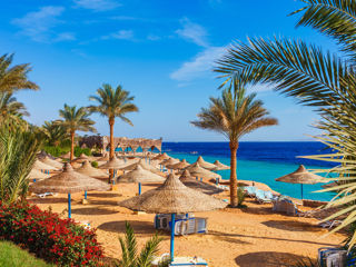 BeeVoyage / Egipt / Sharm-El-Sheikh de la 495 €/pers foto 3