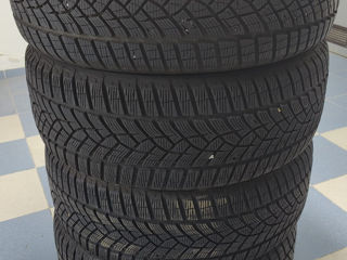 Anvelope iarna Goodyear Ultra Grip Performance 225/45R19