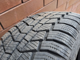 Продаю зимнюю шину Gislaved 205/55 R16 - 1 штука