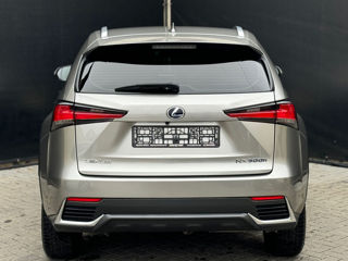 Lexus NX Series foto 5