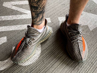 Adidas Yeezy Boost 350 Beluga foto 6