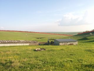 Vind lot de pamînt în extravilanul s-lui Mihailovca, r. Cimislia foto 5