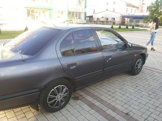 Nissan Primera foto 9