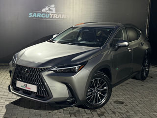 Lexus NX Series