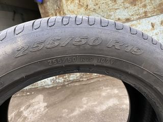 255/50/R19 Pirelli foto 4