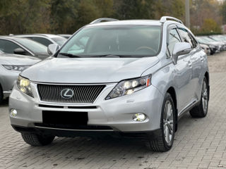 Lexus RX Series