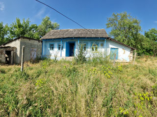 Vinzare teren 20 ari, la 15 km de Chișinău foto 10