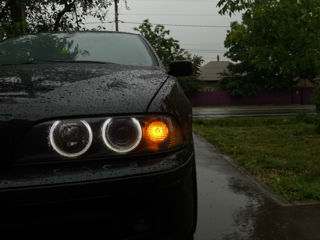 BMW 5 Series foto 7