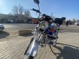 Sonic SN 50