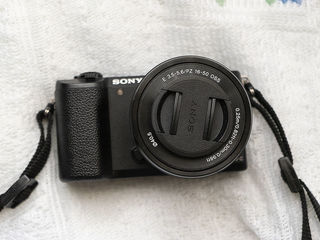 Продаю фотоаппарат Sony Alpha 5100 (хорошая цена !!!) (310 евро) Ботаника foto 1