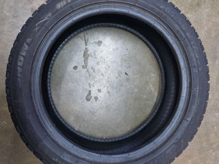 Riken 205/50 R17 зима foto 4