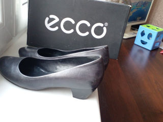 Туфли pantofi ecco 500 lei