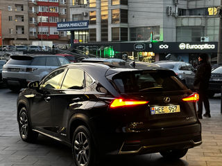 Lexus NX Series foto 6