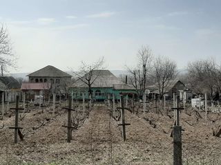 Vind casa de locuit in satul Chipesca, raionul Soldanesti! foto 3