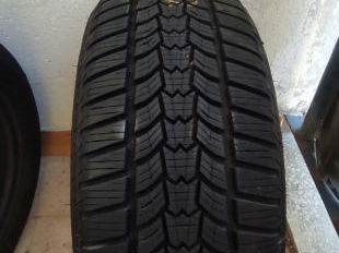 225 45 r17 Dunlop foto 2