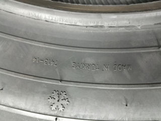 205/60R16 Starmaxx 2024 Turci foto 4