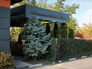 Продаётся 50% доли в действующей АЗС. фото 7