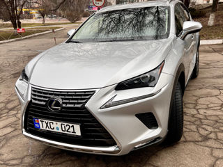 Lexus NX Series