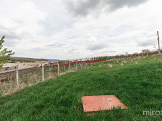 Se vinde spațiu industrial în  or. Sângerei,  Sângerei, Moldova foto 17