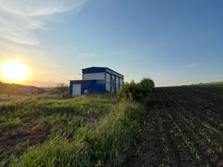 Vand frigider/depozit + teren agroindustrial 50 ari ! фото 9