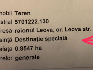 Продам 86 соток земли (0,86га) в г. Леова foto 2