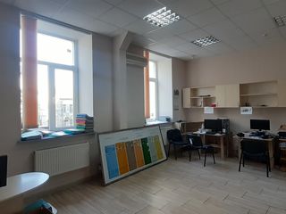 oficii centru 2 nevele / офис в центре 2 уровня foto 3
