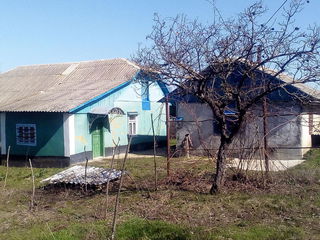 Дом в селе , 40.000лей , 30 километров от Оргеева. foto 1
