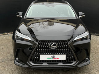 Lexus NX Series foto 2