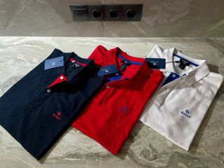 Polo, Original, Nou, Marimi Disponibile, In Stock foto 3