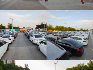 Ford Focus foto 18