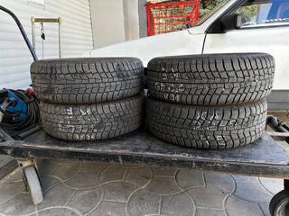 Шины зимние Gislaved 205/55 R16 H