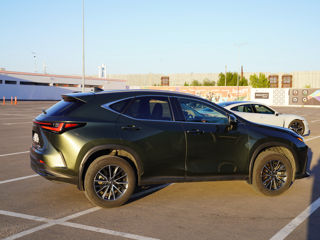 Lexus NX Series foto 7