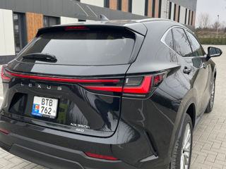 Lexus NX Series foto 3