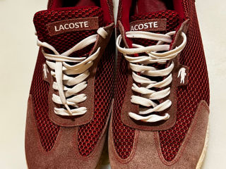 Lacoste foto 4