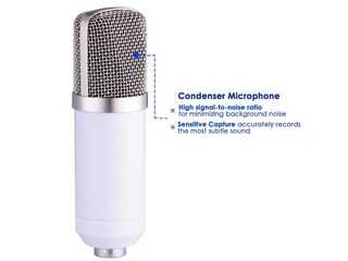 Pro Condenser Microphone w/ Shock Mount Arm Stand Pop Filter For Recording Studio Stage foto 6