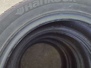 Hankook Winter I*cept Evo2 215/55 R17 98V foto 4