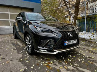 Lexus NX Series foto 8