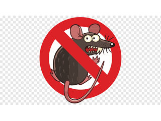 Ультразвуковые отпугиватели мышей и крыс