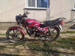 Viper Zs125 foto 2