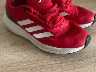 Красотки Adidas foto 2