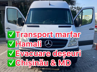 Servicii transport prețuri pămintești foto 1