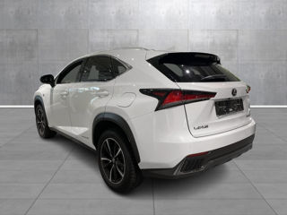 Lexus NX Series foto 3