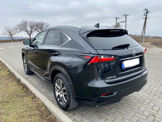 Lexus NX Series foto 7