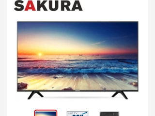 Sakura tv