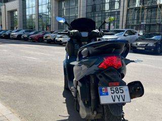 Piaggio MP3 / Quadro фото 3