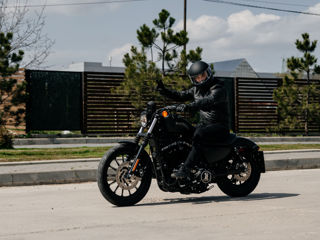 Harley - Davidson Sportster Iron 883 foto 5