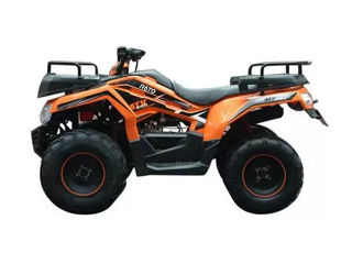 Linhai RATO ATV 200 foto 14