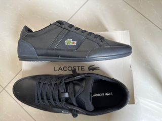 Lacoste foto 5