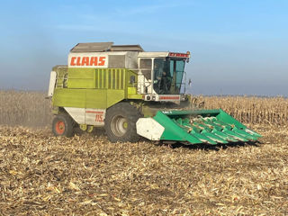 Claas comandor 115 cs foto 2